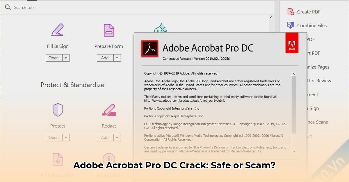 Adobe Acrobat Pro DC Crack: Download Guide & Risks | Adobe Acrobat Pro ...